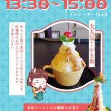 かき氷についてのご案内